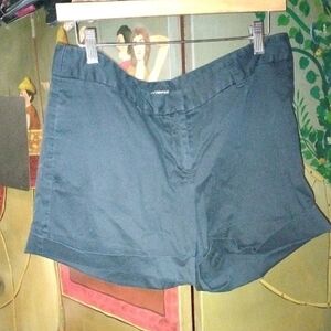 Express Women's Dark Shorts